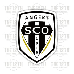 Angers Removable Vinyl Sticker Decal